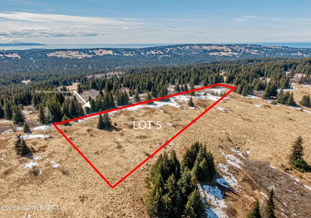 Land for sale at L5 Salin's Spur Rd, Homer, AK 99603 | MLS# 26-11436