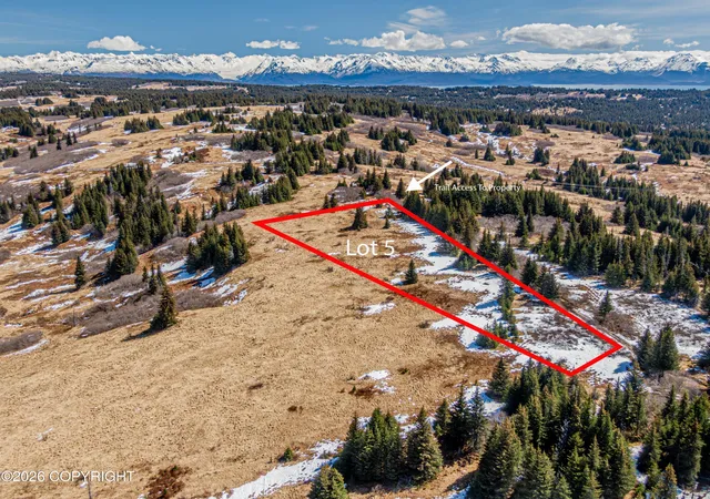 Photo 3 of Land for sale at L5 Salin's Spur Rd, Homer, AK 99603 | MLS# 26-11436 | Listing updated on 2026-09-04