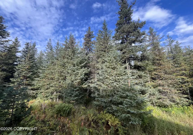 Photo 3 of Single family home for sale at 1500 Lincoln Dr, Homer, AK 99603 | MLS# 26-12320 | Listing updated on 2026-09-25