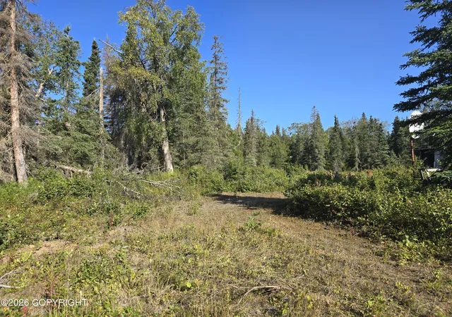 Photo 4 of Land for sale at 53400 Sophy Ave, Nikiski, AK 99611 | MLS# 26-11406 | Listing updated on 2026-09-04