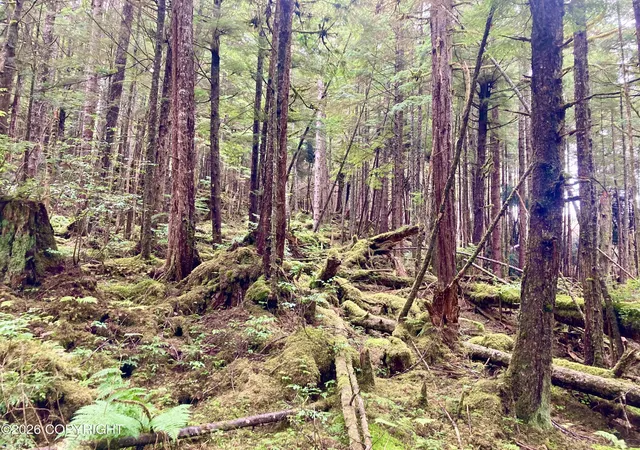 Photo 3 of Land for sale at 133 Grassy Flt Ln, Coffman Cove, AK 99918 | MLS# 26-11312 | Listing updated on 2026-09-03