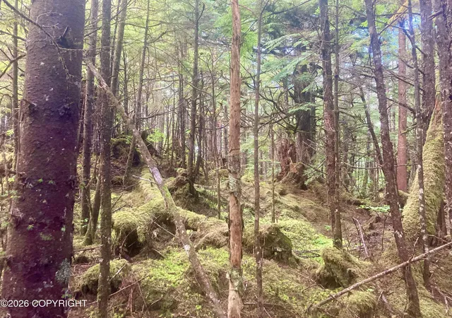 Photo 3 of Land for sale at 133 Grassy Flt Ln, Coffman Cove, AK 99918 | MLS# 26-11312 | Listing updated on 2026-09-03