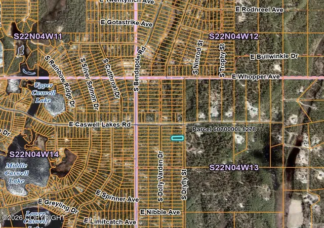 Photo 3 of Land for sale at 49322 S Dryfly St, Willow, AK 99688 | MLS# 26-11646 | Listing updated on 2026-09-10