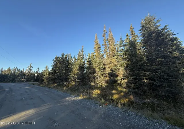 Land for sale at 36244 Bore Tide Dr, Kenai, AK 99611 | MLS# 26-12278