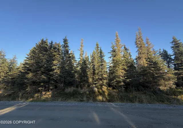 Photo 3 of Land for sale at 36244 Bore Tide Dr, Kenai, AK 99611 | MLS# 26-12278 | Listing updated on 2026-09-27