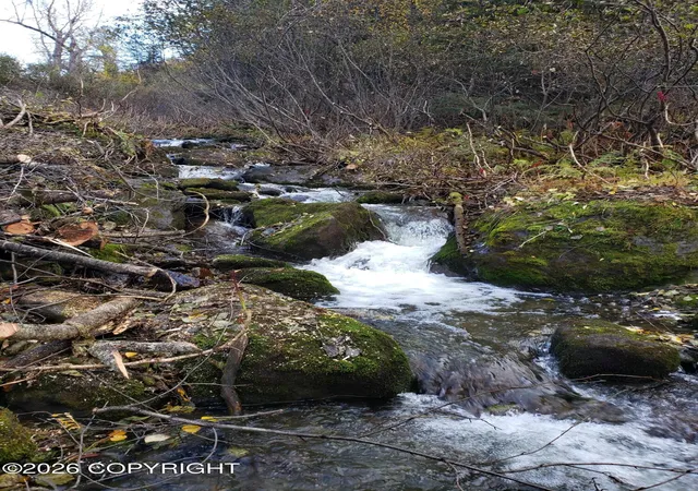 Photo 3 of Land for sale at 000 Bulgaria Dr, Anchorage, AK 99516 | MLS# 26-12701 | Listing updated on 2026-10-03