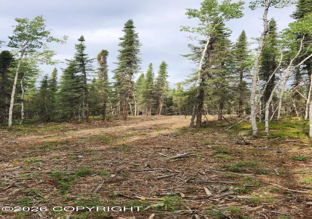 Photo 3 of Sale Pending at 37583 Scout St, Sterling, AK 99672 | MLS# 26-11435 | Listing updated on 2026-09-14