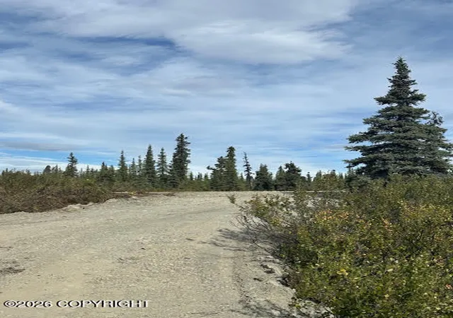 Photo 1 of Land for sale at 49296 S Timberwolf Rd, Chickaloon, AK 99674 | MLS# 26-11561 | Listing updated on 2026-09-08