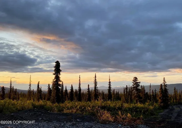 Photo 3 of Land for sale at 49296 S Timberwolf Rd, Chickaloon, AK 99674 | MLS# 26-11561 | Listing updated on 2026-09-08
