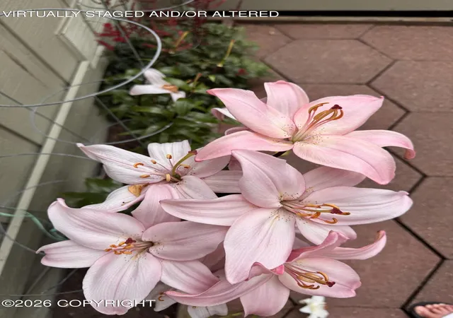 Photo 72 of Single family home for sale at 3570 Admiralty Bay Dr, Anchorage, AK 99515 | MLS# 26-11550 | Listing updated on 2026-09-14