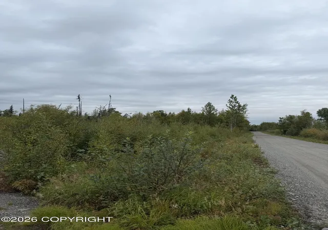 Photo 3 of Sale Pending at 47002 S Susitna St, Talkeetna, AK 99676 | MLS# 26-11560 | Listing updated on 2026-09-15