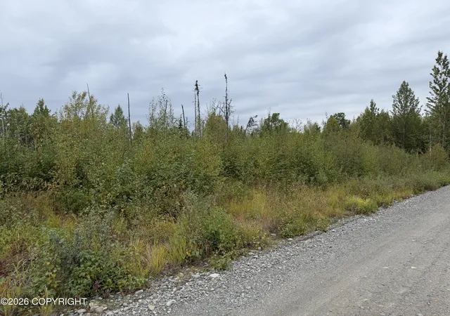 Photo 3 of Sale Pending at 47002 S Susitna St, Talkeetna, AK 99676 | MLS# 26-11560 | Listing updated on 2026-09-15