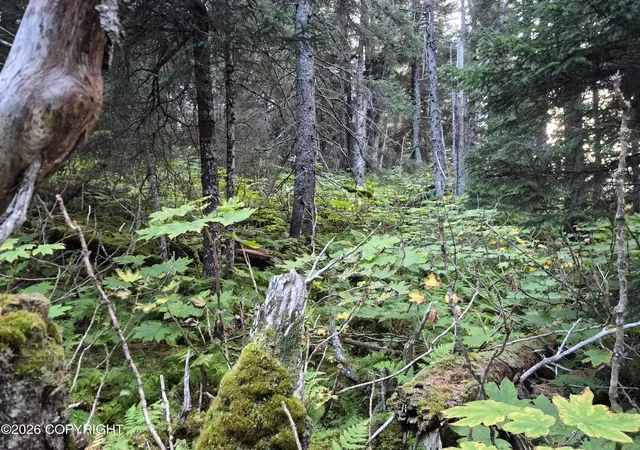 Photo 3 of Sale Pending at 1253 S Boone Ln, Seldovia, AK 99663 | MLS# 26-11586 | Listing updated on 2026-10-12
