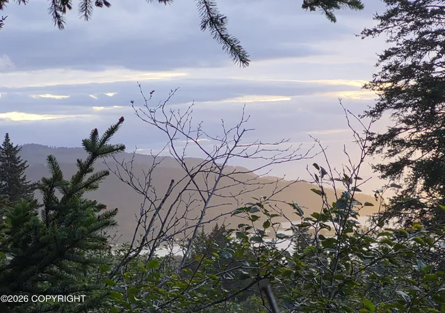 Photo 3 of Sale Pending at 1253 S Boone Ln, Seldovia, AK 99663 | MLS# 26-11586 | Listing updated on 2026-10-12