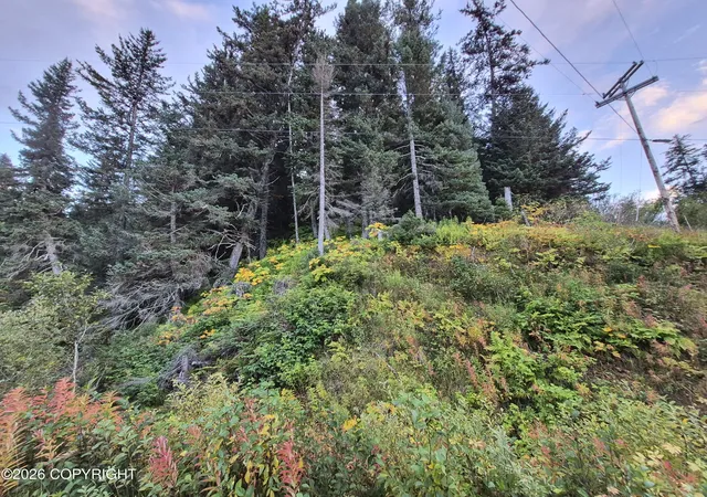 Photo 4 of Sale Pending at 1253 S Boone Ln, Seldovia, AK 99663 | MLS# 26-11586 | Listing updated on 2026-10-12