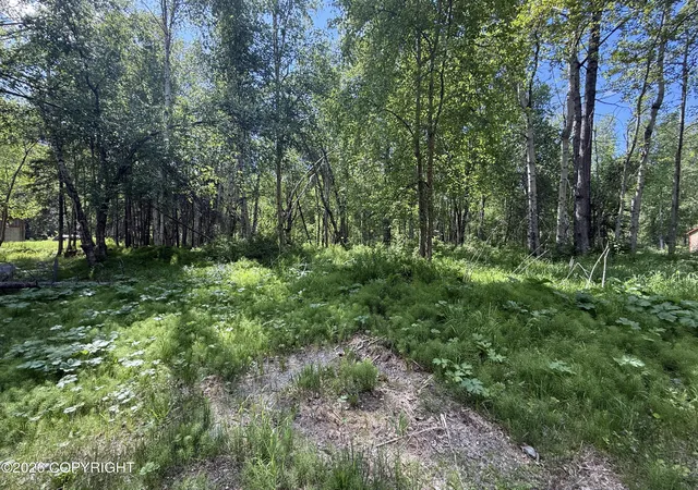 Photo 2 of Single family home for sale at 8054 S Bending Birch Cir, Palmer, AK 99645 | MLS# 26-11833 | Listing updated on 2026-10-01