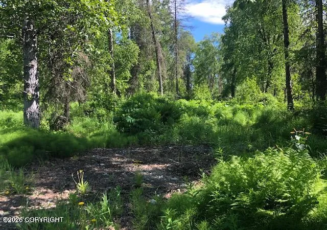 Photo 3 of Land for sale at 9811 N Runyon Cir, Palmer, AK 99645 | MLS# 26-11837 | Listing updated on 2026-09-14