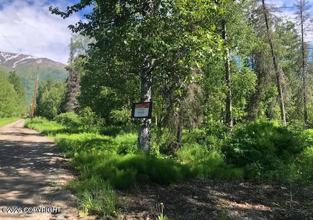 Photo 3 of Land for sale at 9811 N Runyon Cir, Palmer, AK 99645 | MLS# 26-11837 | Listing updated on 2026-09-14