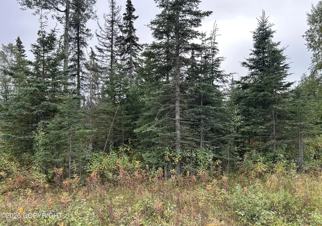 Photo 3 of Land for sale at 52905 Treasure Chest Ave, Kenai, AK 99611 | MLS# 26-11625 | Listing updated on 2026-09-10