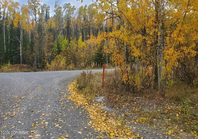 Photo 25 of Single family home for sale at L1 B2 Larkspur Loop, Copper Center, AK 99573 | MLS# 26-11657 | Listing updated on 2026-10-06