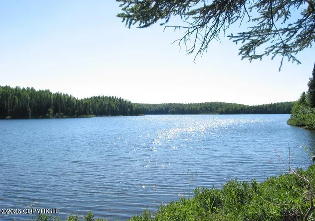 Land for sale at 21312 W Bow Tie Loop, Willow, AK 99688 | MLS# 26-11661