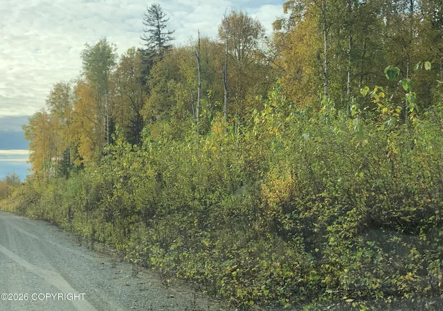 Photo 2 of Land for sale at 21312 W Bow Tie Loop, Willow, AK 99688 | MLS# 26-11661 | Listing updated on 2026-09-10