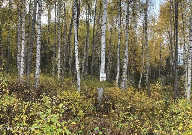 Photo 2 of Land for sale at 12976 N Prism Dr, Willow, AK 99688 | MLS# 26-11662 | Listing updated on 2026-09-10