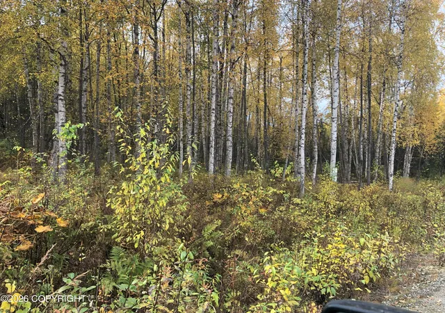 Photo 3 of Land for sale at 12976 N Prism Dr, Willow, AK 99688 | MLS# 26-11662 | Listing updated on 2026-09-10