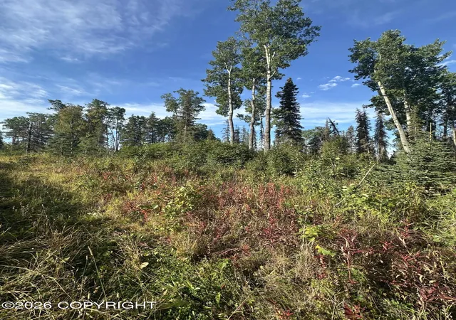 Photo 2 of Land for sale at Lot 6 Joyful Rd, Sterling, AK 99672 | MLS# 26-11671 | Listing updated on 2026-09-14