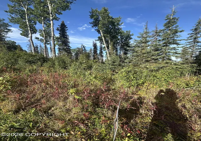 Photo 3 of Land for sale at Lot 6 Joyful Rd, Sterling, AK 99672 | MLS# 26-11671 | Listing updated on 2026-09-14