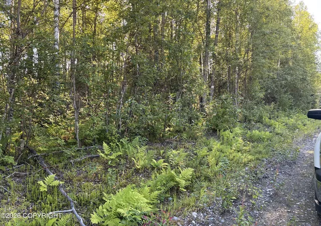 Photo 2 of Sale Pending at 49145 S Denali View Dr, Willow, AK 99688 | MLS# 26-11785 | Listing updated on 2026-09-16
