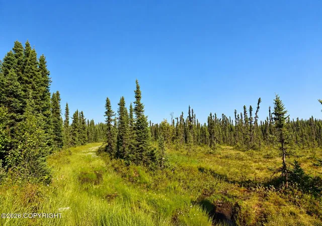 Photo 3 of Land for sale at 19802 W Twitty Ave, Willow, AK 99688 | MLS# 26-11882 | Listing updated on 2026-09-16