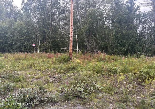 Photo 2 of Land for sale at 8840 W Mcquire Ln, Wasilla, AK 99623 | MLS# 26-11920 | Listing updated on 2026-10-06