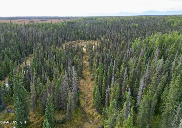 Photo 2 of Land for sale at 48904 Helen Ave, Soldotna, AK 99669 | MLS# 26-12092 | Listing updated on 2026-09-21