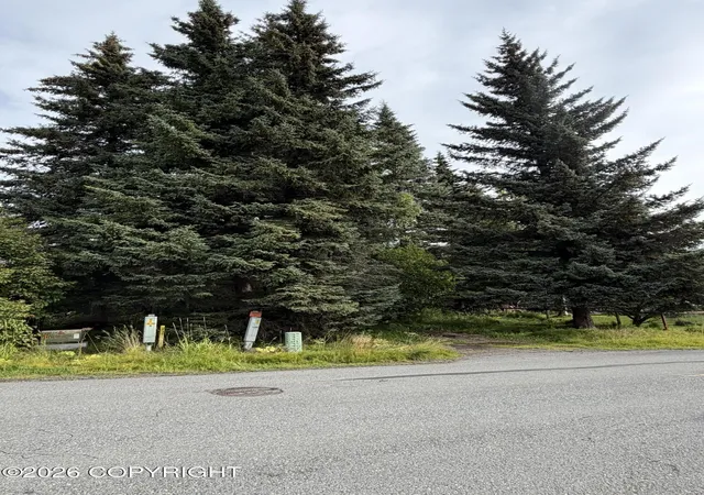 Land for sale at 4768 Sabrina Rd, Homer, AK 99603 | MLS# 26-11957