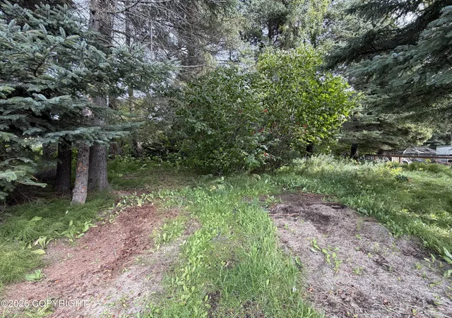 Photo 3 of Land for sale at 4768 Sabrina Rd, Homer, AK 99603 | MLS# 26-11957 | Listing updated on 2026-09-18