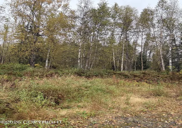 Land for sale at 21174 Alitak Rd, Talkeetna, AK 99676 | MLS# 26-12136