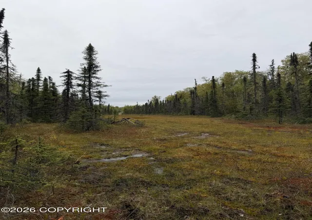 Land for sale at 38554 S Malaspina Loop, Talkeetna, AK 99676 | MLS# 26-11988