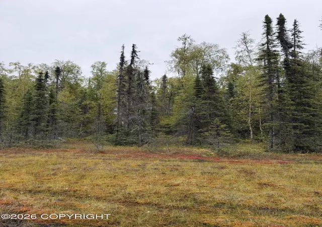 Photo 2 of Land for sale at 38554 S Malaspina Loop, Talkeetna, AK 99676 | MLS# 26-11988 | Listing updated on 2026-09-17