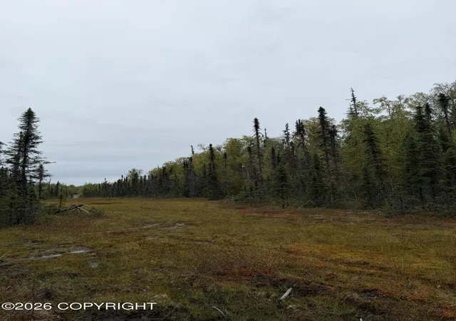 Photo 3 of Land for sale at 38554 S Malaspina Loop, Talkeetna, AK 99676 | MLS# 26-11988 | Listing updated on 2026-09-17
