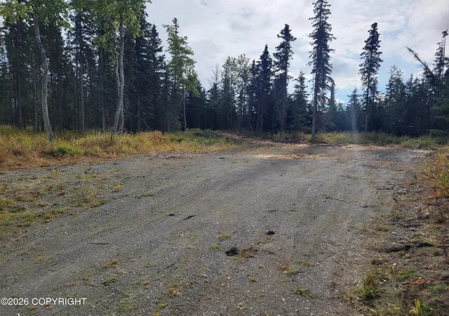 Photo 3 of Land for sale at 50685 Patrick Dr, Kenai, AK 99611 | MLS# 26-12109 | Listing updated on 2026-09-21
