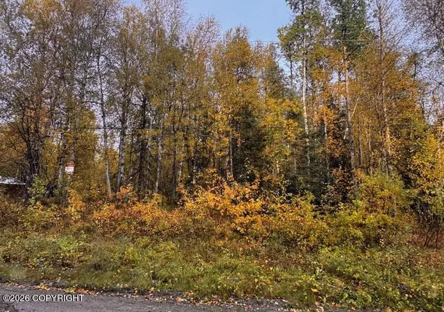 Photo 1 of Land for sale at 12913 N Pettis Dr, Willow, AK 99688 | MLS# 26-12153 | Listing updated on 2026-09-23