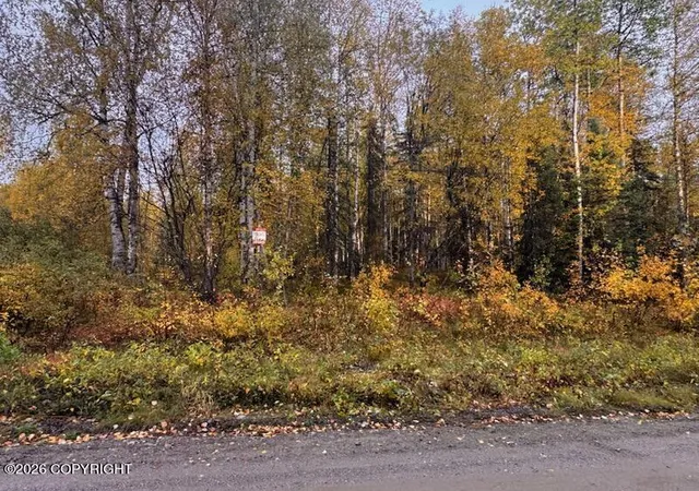 Photo 2 of Land for sale at 12913 N Pettis Dr, Willow, AK 99688 | MLS# 26-12153 | Listing updated on 2026-09-23
