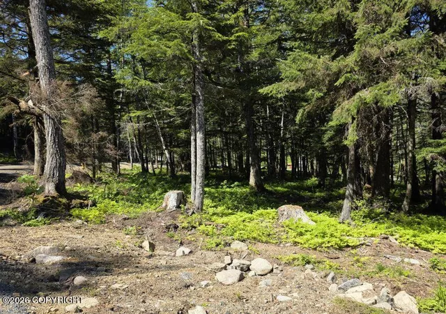 Photo 2 of Land for sale at Lot 2 Hl Side Loop, Haines, AK 99827 | MLS# 26-12139 | Listing updated on 2026-09-21