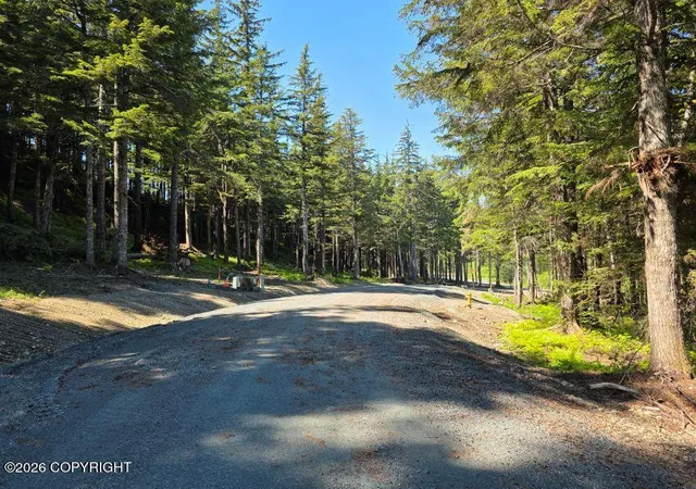 Photo 1 of Land for sale at Lot 3 Hl Side Loop, Haines, AK 99827 | MLS# 26-12140 | Listing updated on 2026-09-21