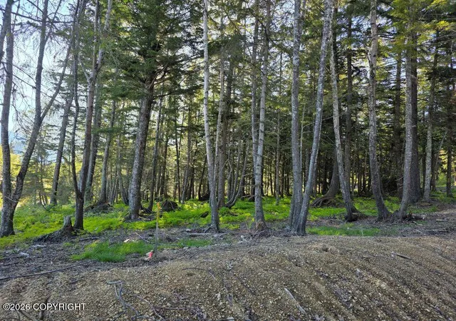 Photo 2 of Land for sale at Lot 4 Major Rd, Haines, AK 99827 | MLS# 26-12143 | Listing updated on 2026-09-21