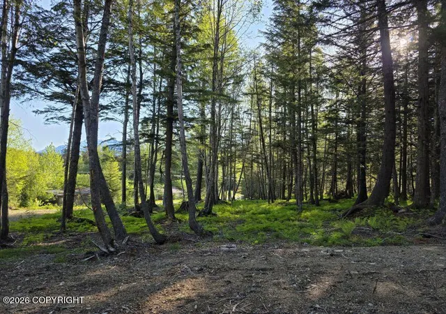 Photo 3 of Land for sale at Lot 4 Major Rd, Haines, AK 99827 | MLS# 26-12143 | Listing updated on 2026-09-21