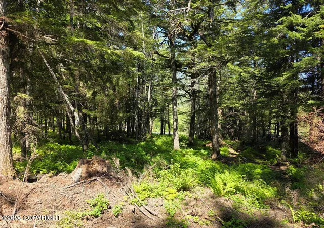 Photo 3 of Land for sale at Lot 5 Major Rd, Haines, AK 99827 | MLS# 26-12144 | Listing updated on 2026-09-21