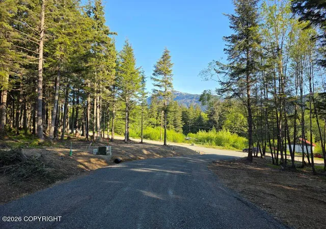 Photo 1 of Land for sale at Lot 6 Hl Side Loop, Haines, AK 99827 | MLS# 26-12145 | Listing updated on 2026-09-21