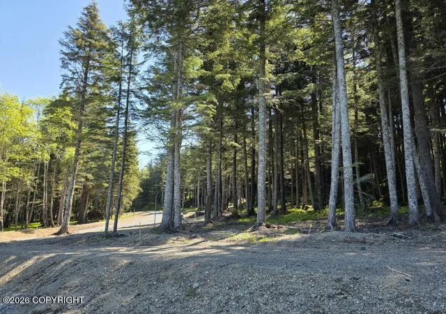 Photo 2 of Land for sale at Lot 6 Hl Side Loop, Haines, AK 99827 | MLS# 26-12145 | Listing updated on 2026-09-21